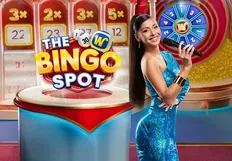 The Bingo Spot